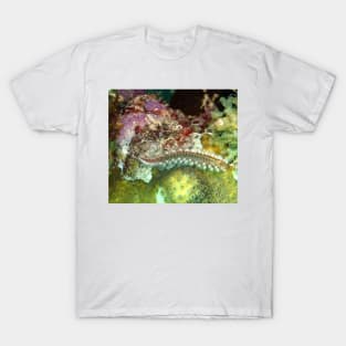 Coral Reef Bearded Fireworm - Caribbean Undersea Life T-Shirt